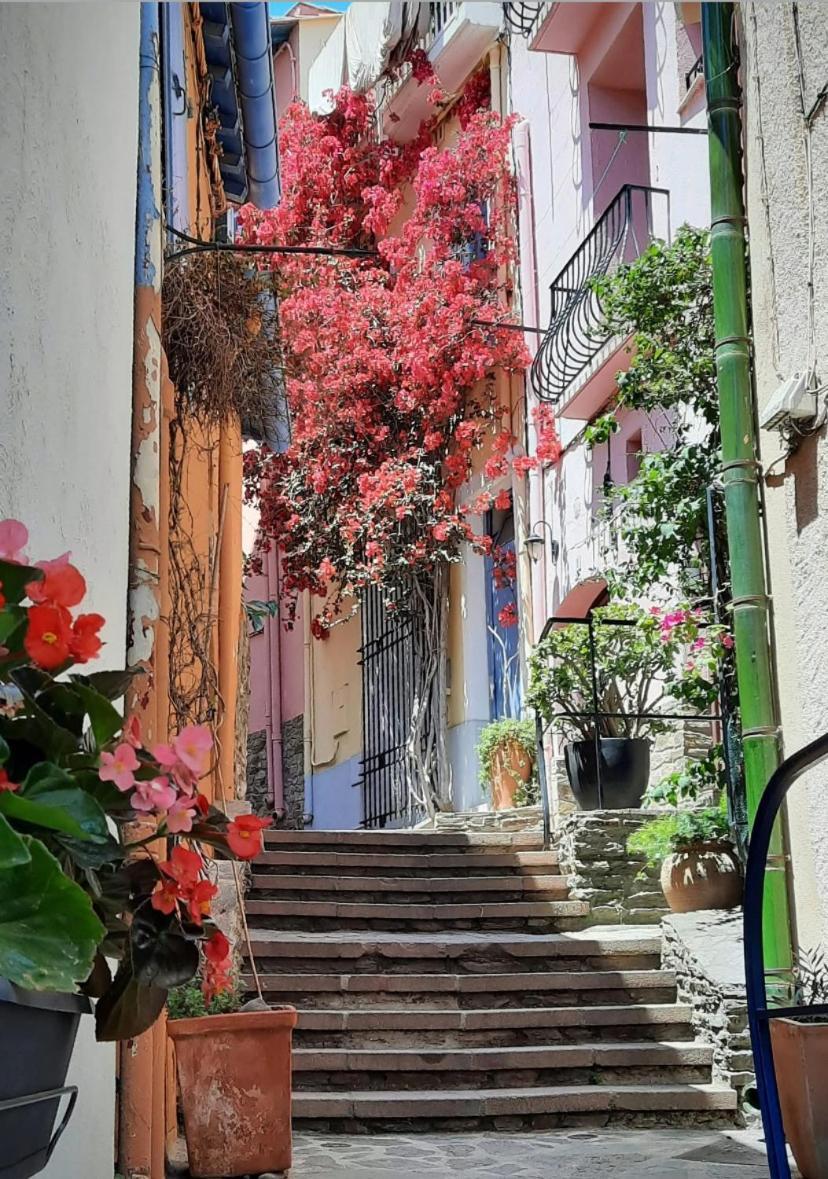 Studio Collioure Mouret Exterior foto